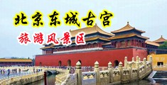 麻豆污污中国北京-东城古宫旅游风景区